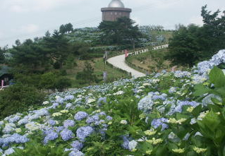 大野山