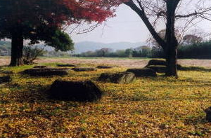 国分寺跡