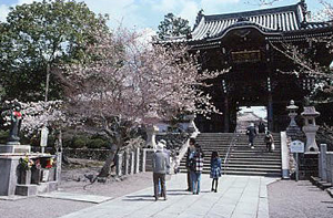 粉河寺