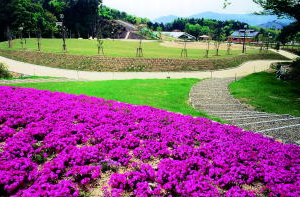 野田川フォレストパーク（野田川町）