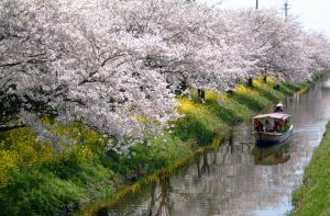 水郷めぐり