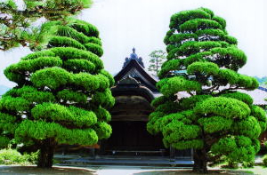 柏原藩陣屋敷