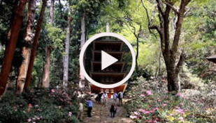 女人高野 室生寺